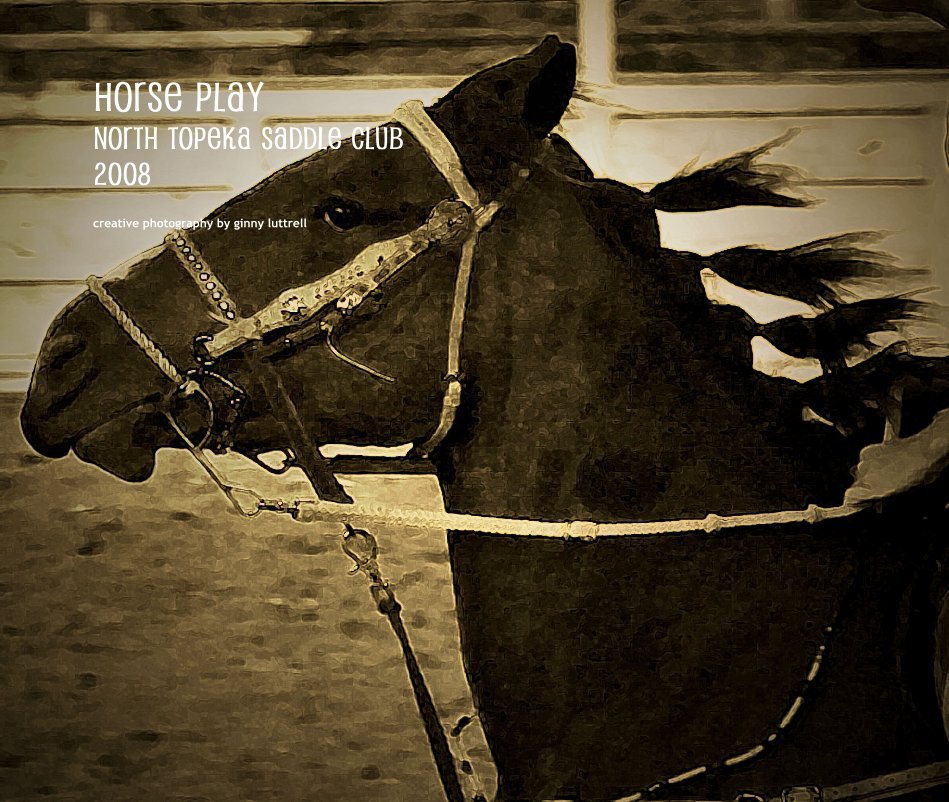 Ver Horse Play North Topeka Saddle Club 2008 por ginny luttrell