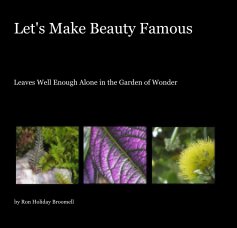 Let's Make Beauty Famous book cover