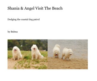 Shania & Angel Visit The Beach book cover