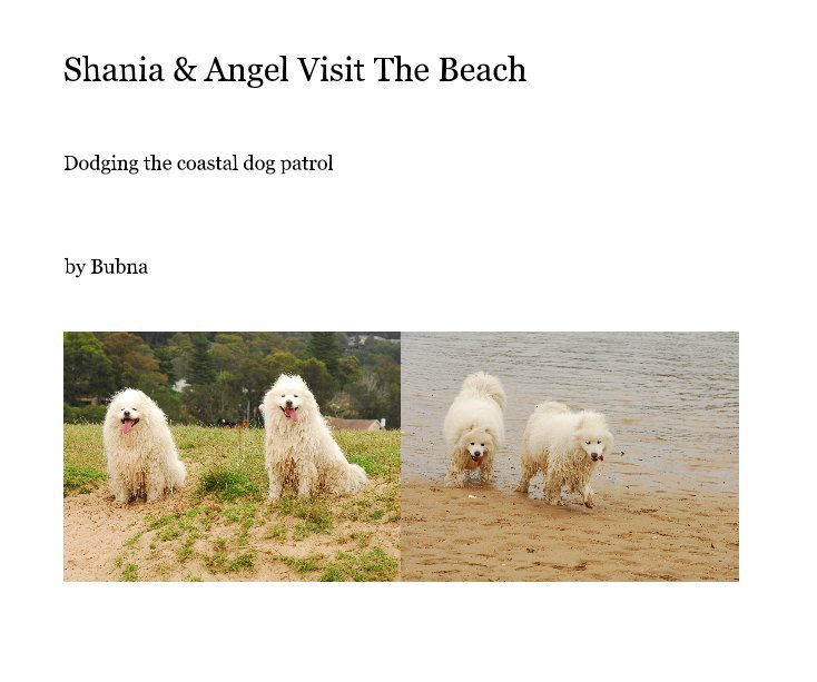 View Shania & Angel Visit The Beach by Bubna