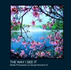 THE WAY I SEE IT book cover