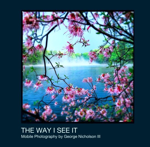 View THE WAY I SEE IT by George Nicholson III