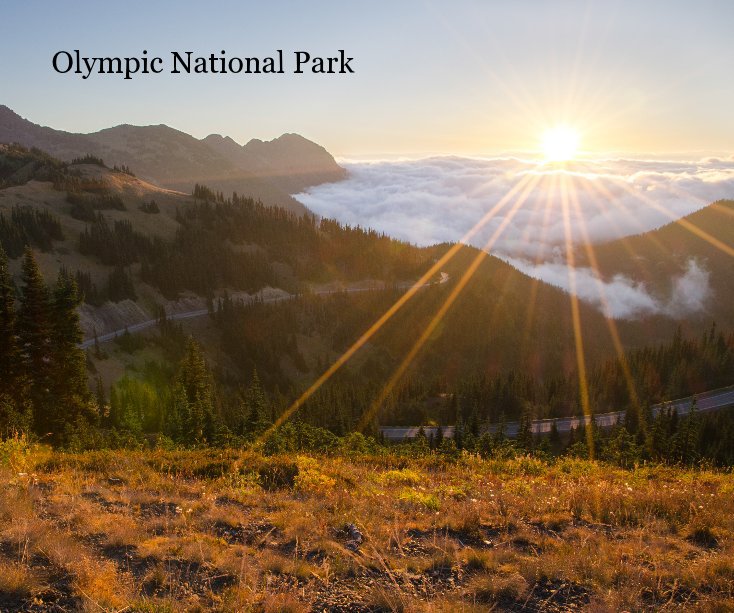 View Olympic National Park by Patrick St.Onge