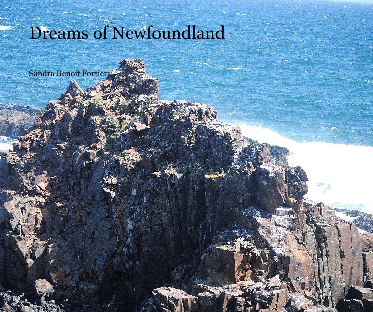 View Dreams of Newfoundland by Sandra Benoit Fortier