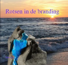 Rotsen in de branding book cover