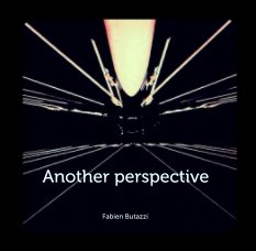 Another Perspective book cover