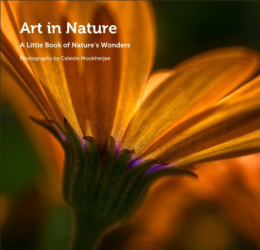 View Art in Nature by Photography by Celeste Mookherjee