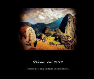 Pérou, été 2012 book cover