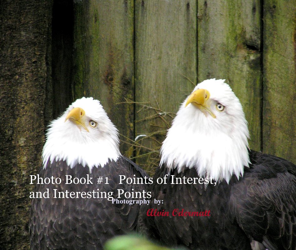 View Photo Book #1 Points of Interest, and Interesting Points by alodermatt