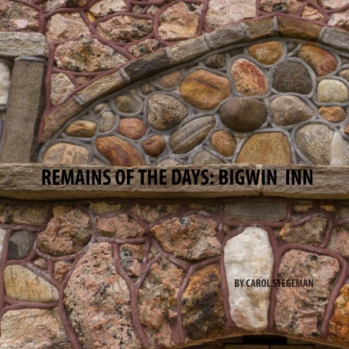 View Remains of the Days by Carol Stegeman