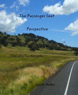 The Passenger Seat Perspective book cover