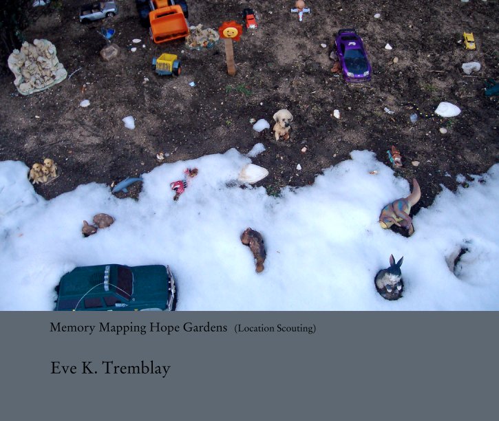 View Memory Mapping Hope Gardens by Eve K. Tremblay