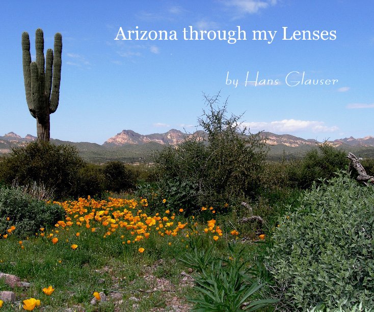 View Arizona through my Lenses by Hans Glauser