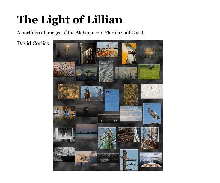 View The Light of Lillian by David Corliss