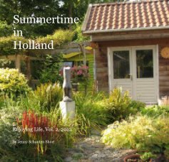 Summertime in Holland book cover