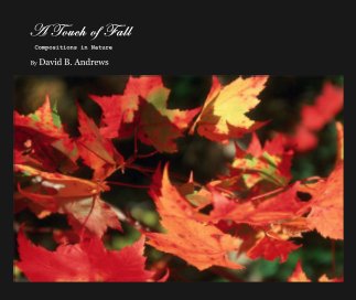 A Touch of Fall book cover