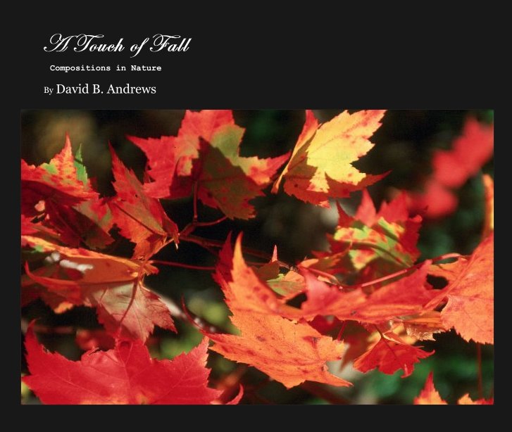 View A Touch of Fall by David B. Andrews