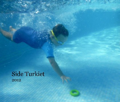 Side Turkiet 2012 book cover