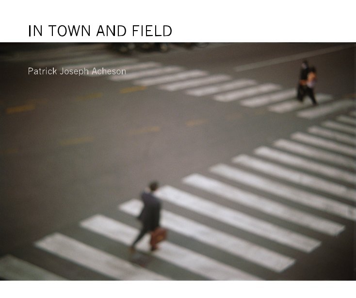 View IN TOWN AND FIELD by Patrick Joseph Acheson