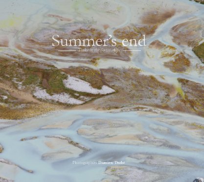 Summer's end book cover