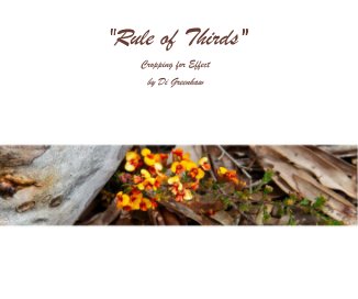 "Rule of Thirds" book cover