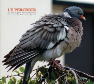 Le perchoir book cover