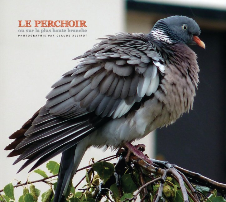 View Le perchoir by Claude Allirot