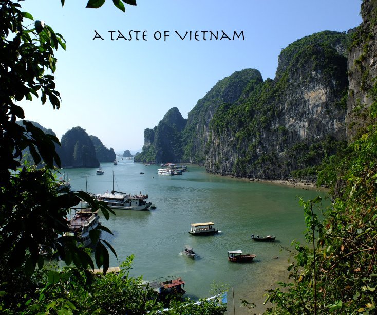 View a Taste of Vietnam by Donna Racheal