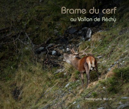 Brame du cerf au Vallon de Réchy book cover