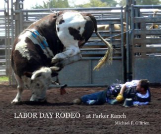 LABOR DAY RODEO book cover