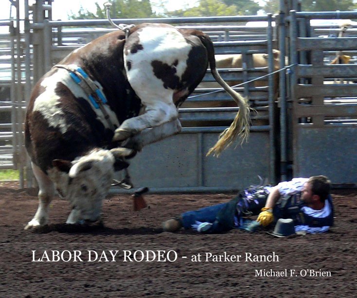 View LABOR DAY RODEO by Michael F. O'Brien