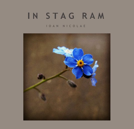 View IN STAG RAM by Ioan Nicolae