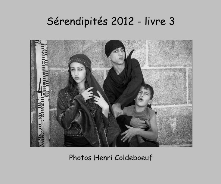 Ver Sérendipités 2012 - livre 3 por Photos Henri Coldeboeuf