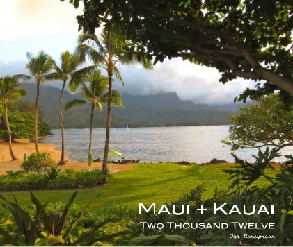 Maui + Kauai Two Thousand Twelve Our Honeymoon book cover