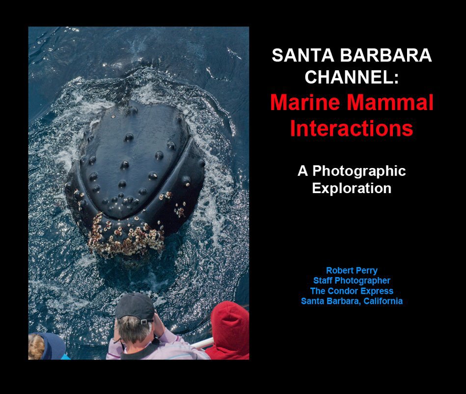View Marine Mammal Interactions by Robert Bradbrook Perry