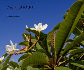 Visiting LA PALMA book cover