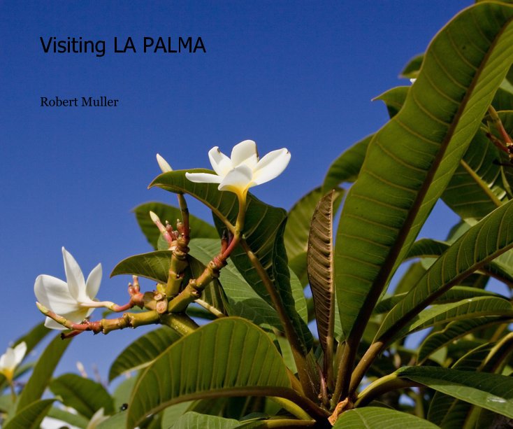 View Visiting LA PALMA by Robert Muller