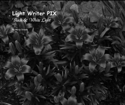 Light Writer PIX Black & White Light book cover
