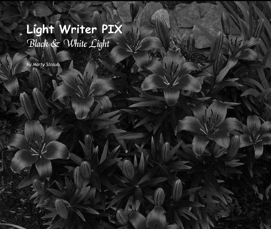 View Light Writer PIX Black & White Light by Marty Straub
