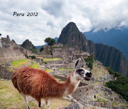 Peru 2012 book cover