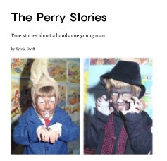 The Perry Stories book cover