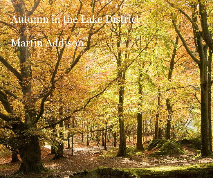 Ver Autumn in the Lake District por Martin Addison