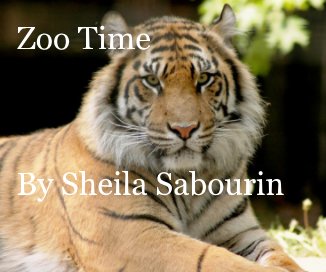 Zoo Time By Sheila Sabourin book cover