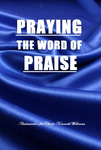PRAYING THE WORD OF PRAISE 2013 Divinity-Collection book cover