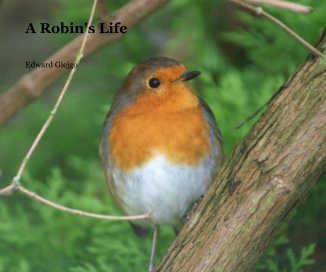 A Robin's Life book cover
