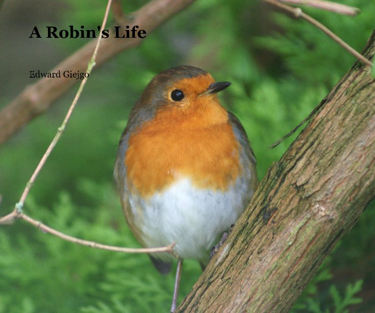 View A Robin's Life by Edward Giejgo