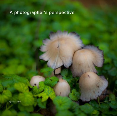 A photographer's perspective book cover