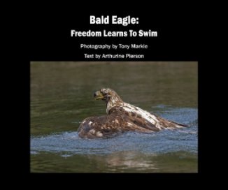 Bald Eagle: Freedom Learns To Swim book cover