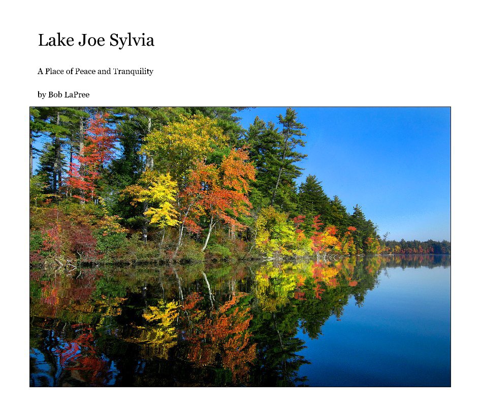 View Lake Joe Sylvia by Bob LaPree