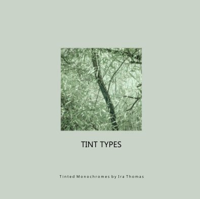 Tint Types book cover